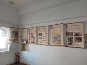 Изложба „Доктор Коста Динић” у Културном центру у Тополи